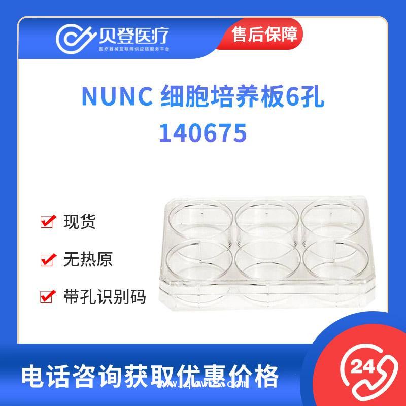 NUNC-细胞培养板6孔-75个-箱-140675