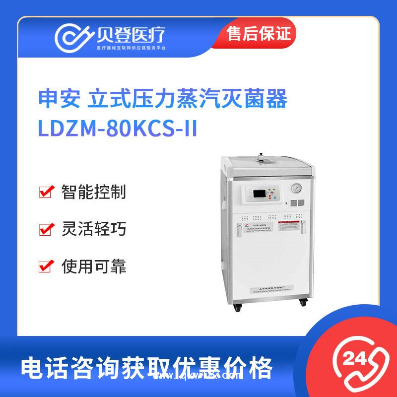 申安Shenan立式压力蒸汽灭菌器LDZM-80KCS-II