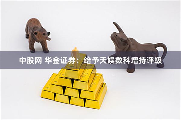 中股网 华金证券：给予天娱数科增持评级