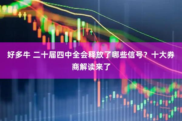 好多牛 二十届四中全会释放了哪些信号？十大券商解读来了