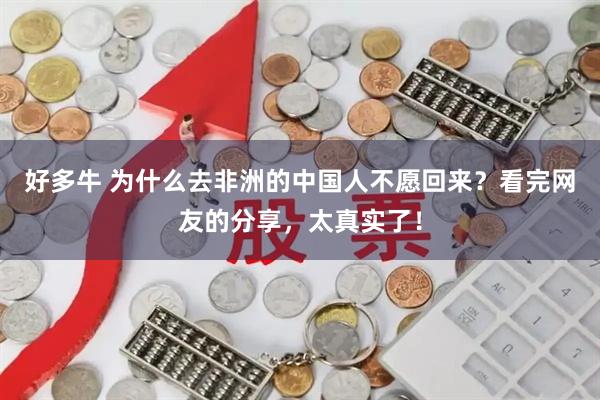 好多牛 为什么去非洲的中国人不愿回来？看完网友的分享，太真实了！